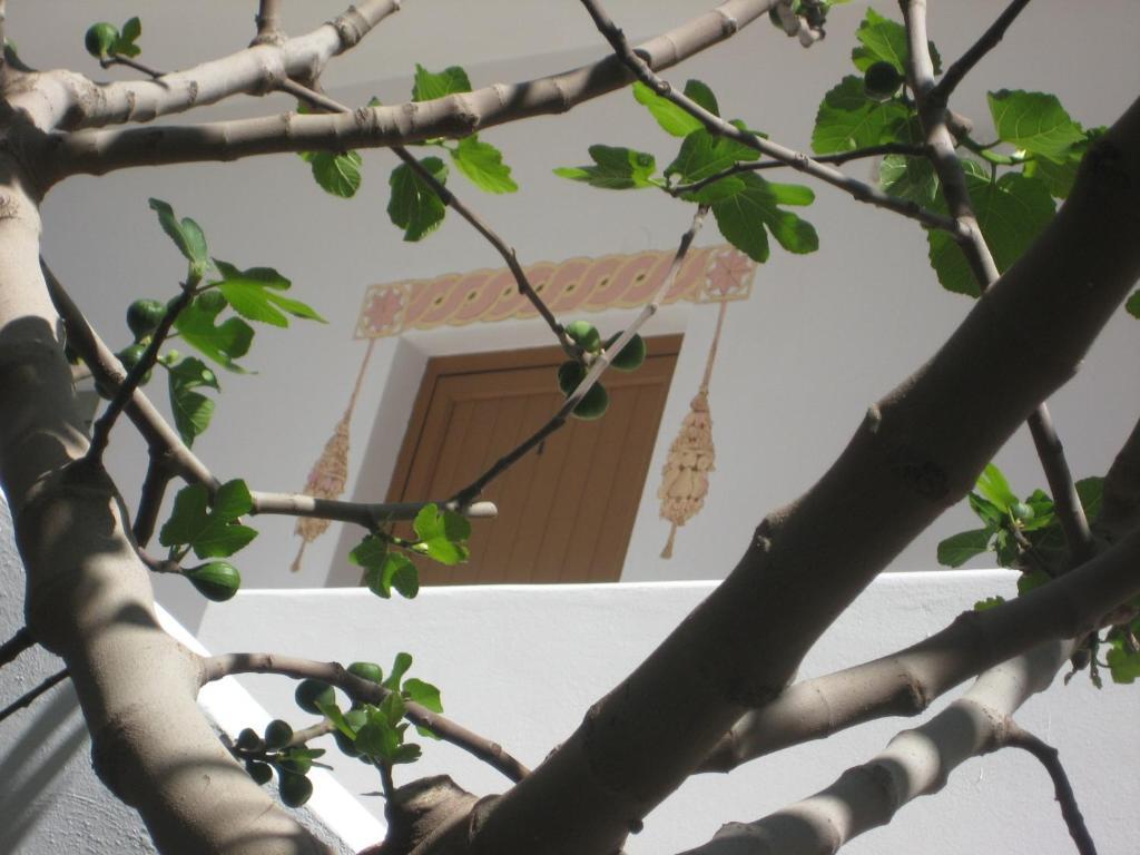 Rozmari And Spa أغيا غاليني المظهر الخارجي الصورة
